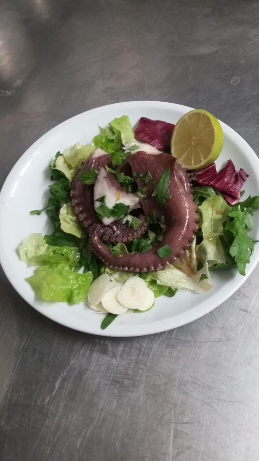 Pulpo